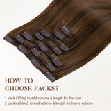 Classic Clip in Hair Extensions