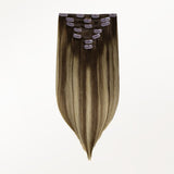 Classic Clip in Hair Extensions