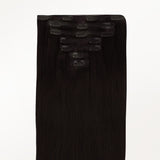 Classic Clip in Hair Extensions