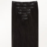 Classic Clip in Hair Extensions