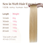  Golden Blonde Highlights (8B/60B) Sew-In Weft Hair Extensions (80g-120g)_100% Remy Human Hair.