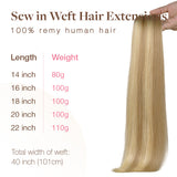 Dirty Blonde Highlights (18D/22F) Sew-In Weft Hair Extensions (80g-120g)_100% Remy Human Hair.
