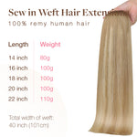 Natural Blonde Balayage (18ET90A) Sew-In Weft Hair Extensions (80g-120g)_100% Remy Human Hair.